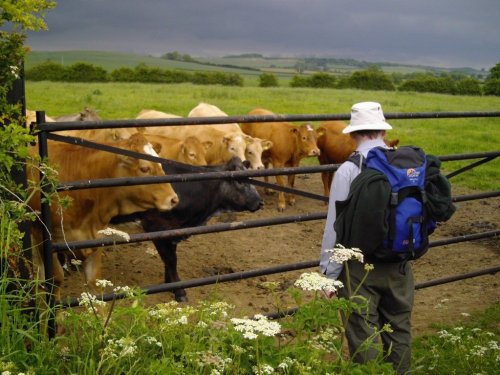 Wood Farm Nr Scamblesby, Lincolnshire