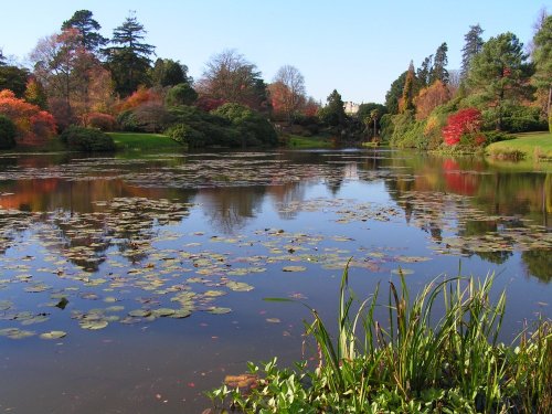 Sheffield Park & Garden