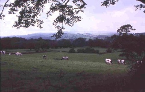 Bolton Abbey