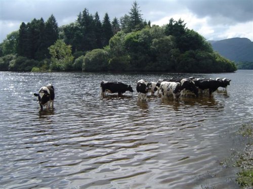 Derwentwater