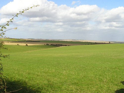 Yorkshire Wolds, Nr. Kilham