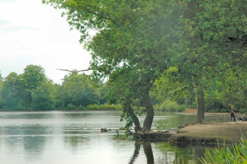 Epping Forest