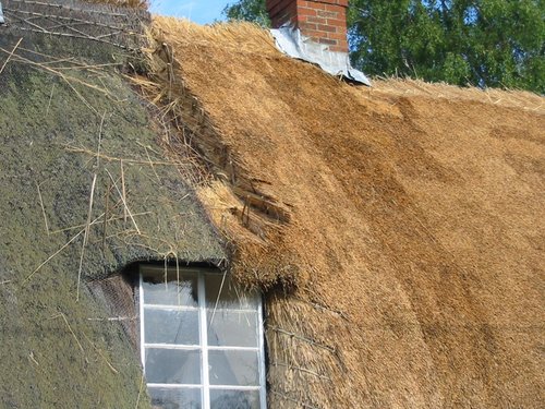 Thatching in progress, Houghton, Hampshire