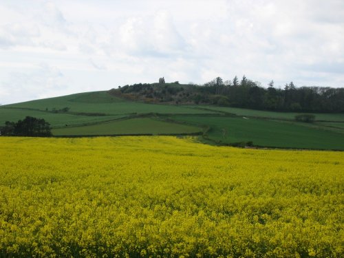 A picture of Abbotsbury