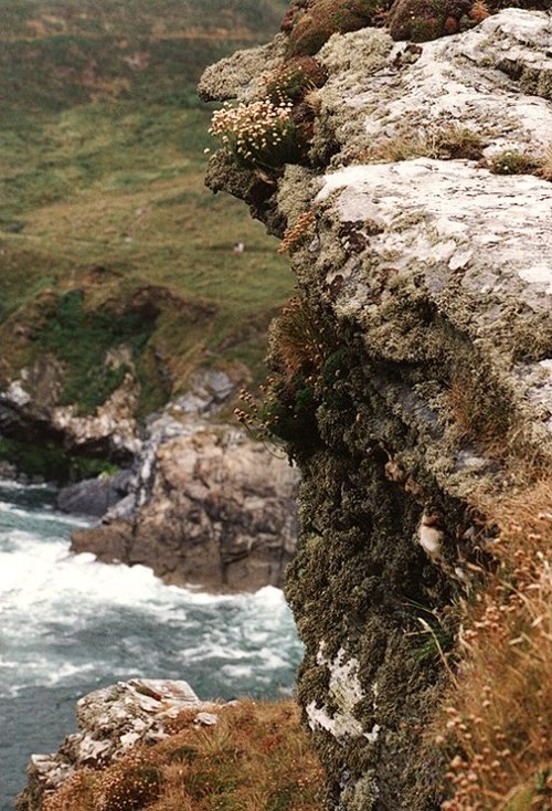 Cliffs at Tintagel, Cornwall