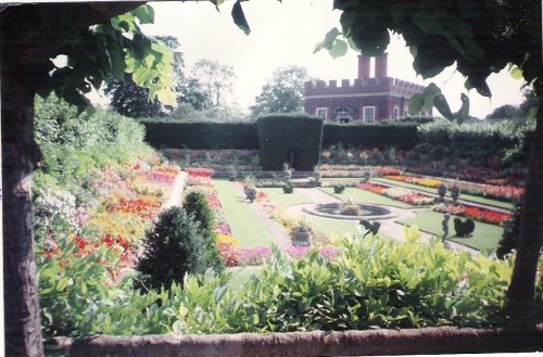 Hampton Court Palace. Gardens.