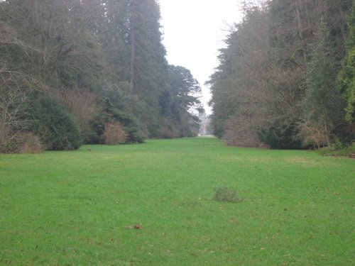 Westonbirt Arboretum. Winter Jan 2005