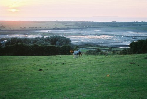 Appledore