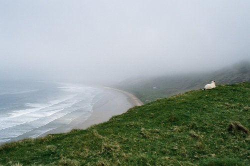 LLangennith, Gower Peninsula, Wales