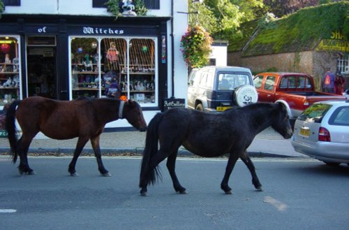 Burley, in the new forest