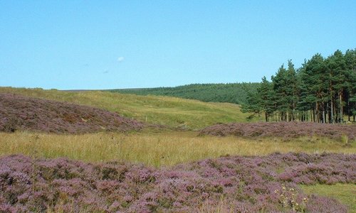 Wheeldale, North York Moors