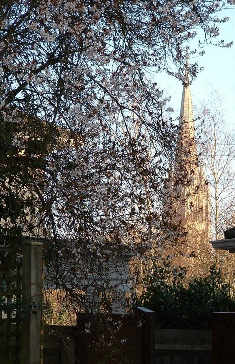 Salisbury Cathedral