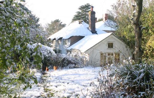 Cottage and garden in Zeal Monachorum on November 25th 2005