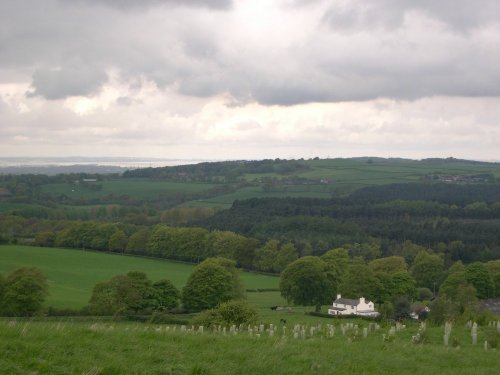 Delamere Forest Park