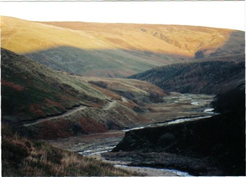 Forest of Bowland