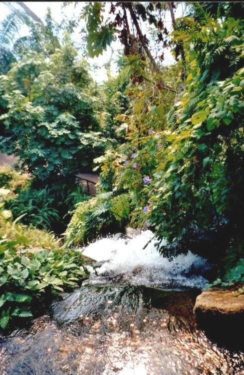 The Eden Project