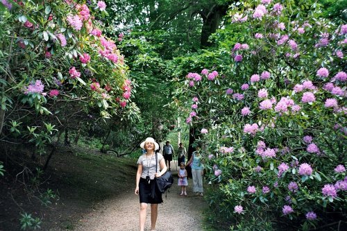 Harewood House