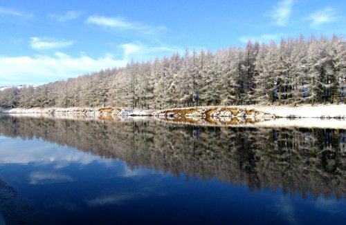 Cod Beck Reservoir, Osmotherly. December 2005.