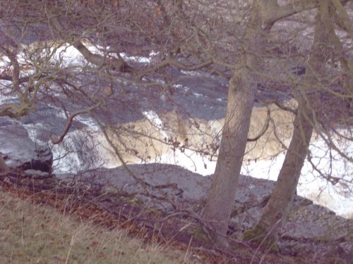 Aysgarth Falls