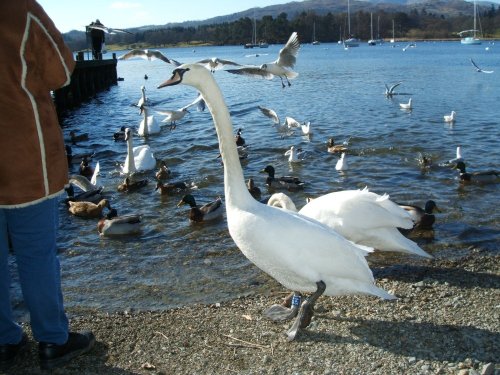 Ambleside,Waterhead pier, The Lake District, Cumbria.