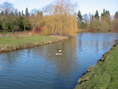 Grounds of Walton Hall, outside of Wellesbourne, Warwickshire; Feb 2005