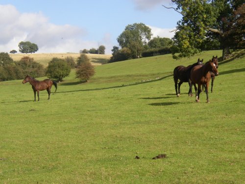 Pikes Pool Lane, Finstall, Bromsgrove