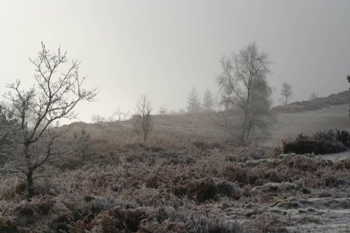 The Wrekin in Telford in the frost