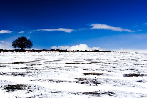 A snow-covered golf course, Bradnor Hill, Kington, Herefordshire.