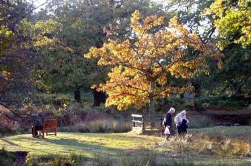 Bradgate Park in Leicestershire