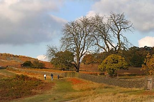 Bradgate Park in Leicestershire