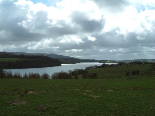 Rivington