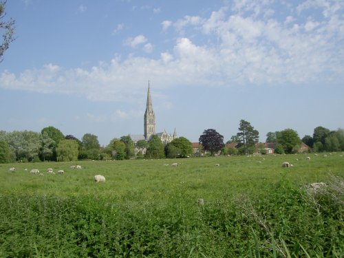 Salisbury Cathedral