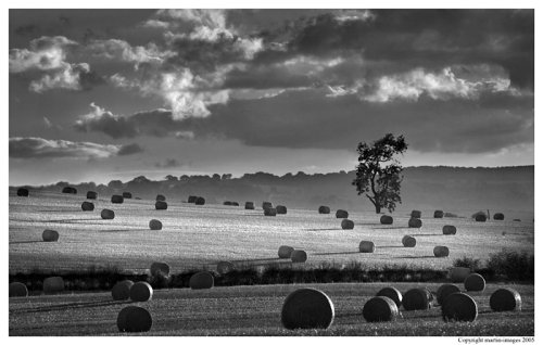 Harvesting time, Arthington, West Yorkshire