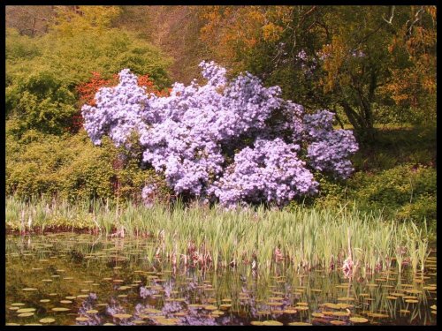 Stourhead