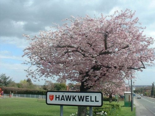 Hawkwell