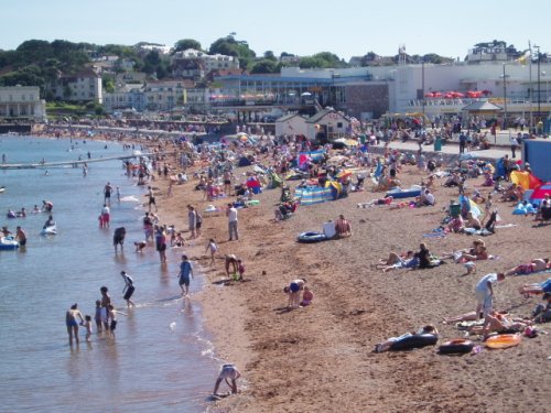 The Harbour, Paignton, Devon.