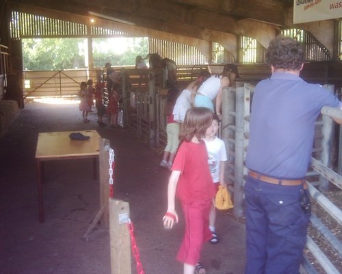 Longdown Activity Farm