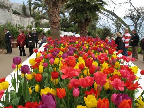 The Eden Project