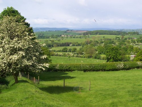 Moors at Kirkby Overblow, North Yorkshire