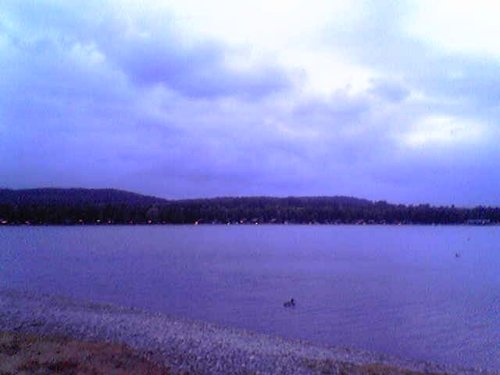 Pine Lake Resort, Lancashire. - I call this picture The Lone Duck