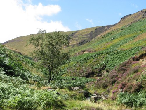 Grindsbrook. Edale. Derbyshire