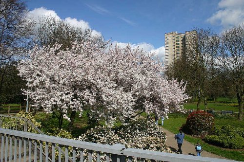 ST Georges Park, STEVENAGE TOWN CENTER in Spring.