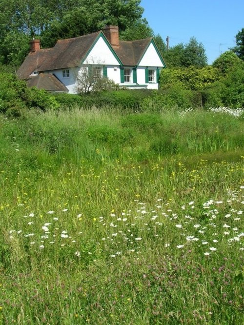 A view across Mayford Pond to Sun Hill House beyond.  June 2006. Mayford, Surrey