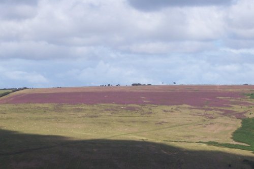 Exmoor National Park