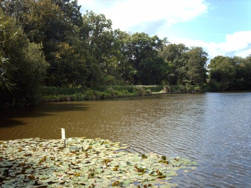 view of slaugham lake, slaugham, west sussex.