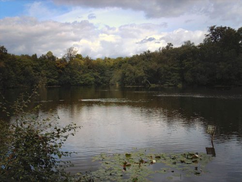 view of slaugham lake, slaugham, west sussex.