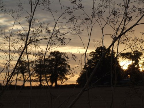 Packhorse Lane, South Mimms - Sunset