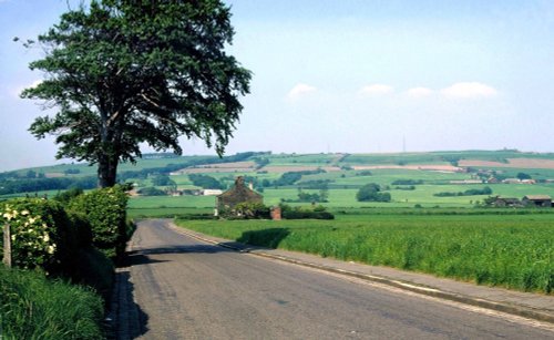 Billinge Hill taken from Crank Hill. All posts removed