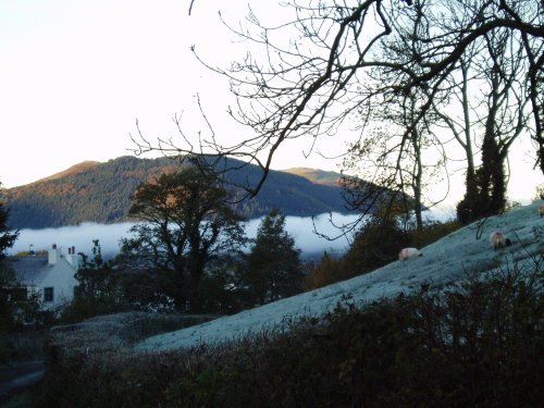 A picture of Bassenthwaite