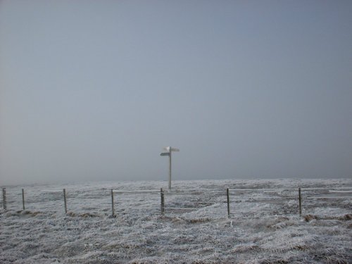 The Cheviot is in there somewhere